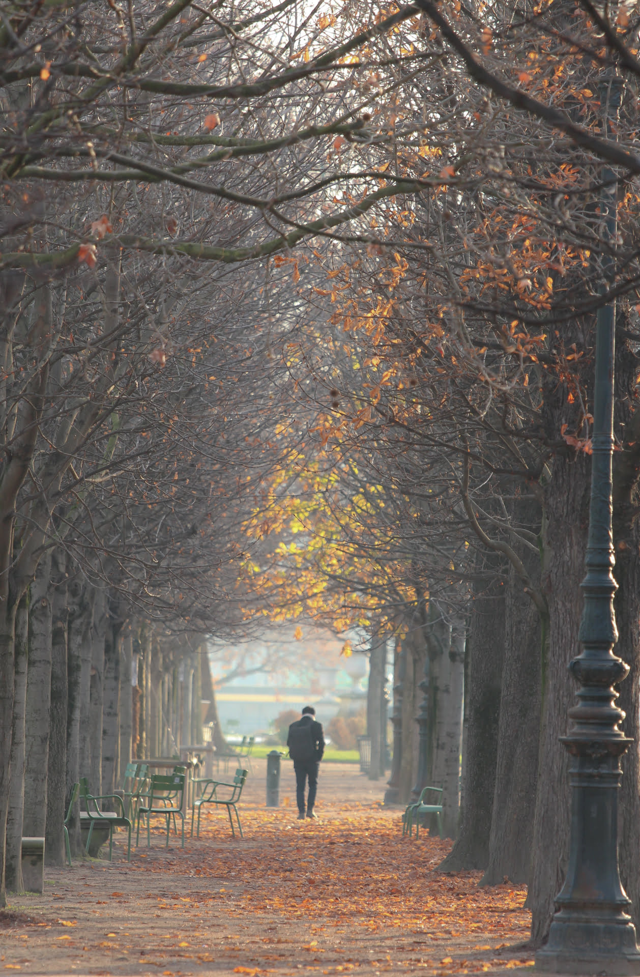 FRparisDEC162948-1