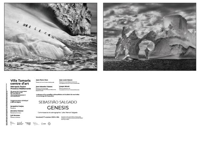 carton_salgado_1200_x_860_copie