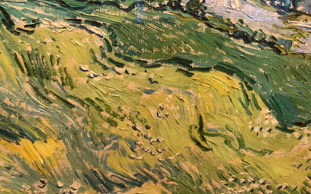 Sortie à Draguignan  le Jeudi 16 Mai 2024. –  Musée des Beaux Arts et Musées des Arts et Traditions populaires