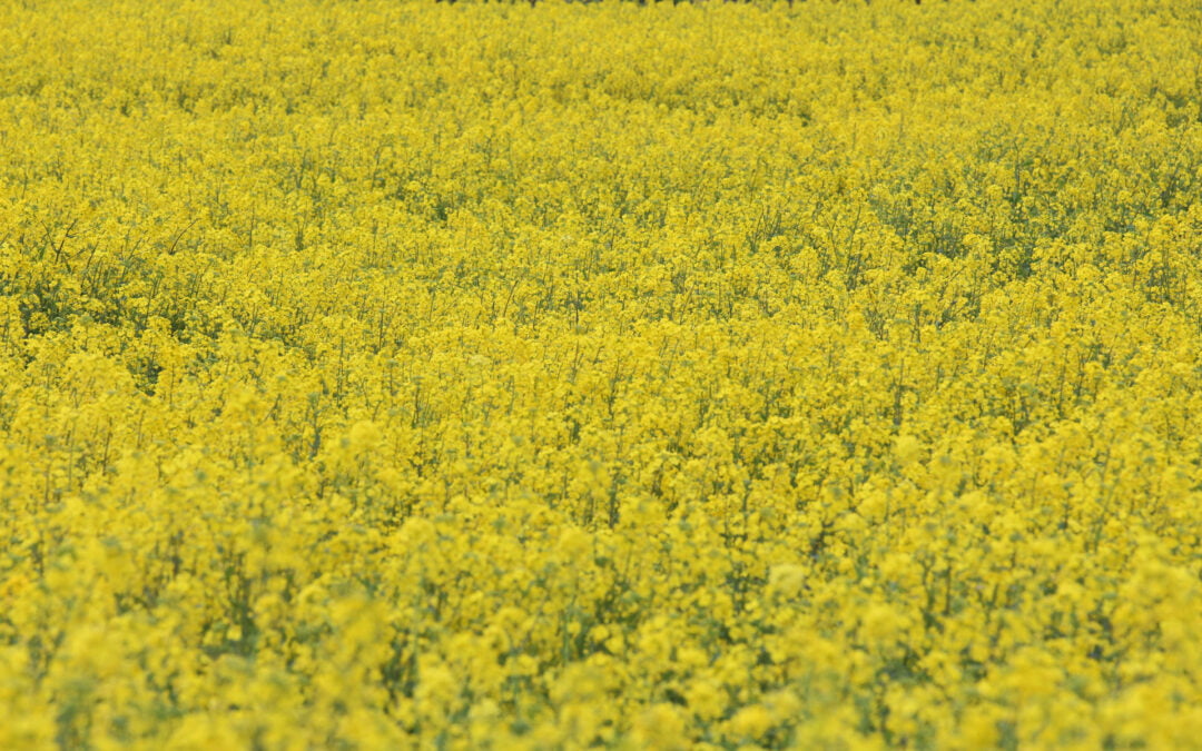 Actions-Lycées 2023 : Marathon Photos