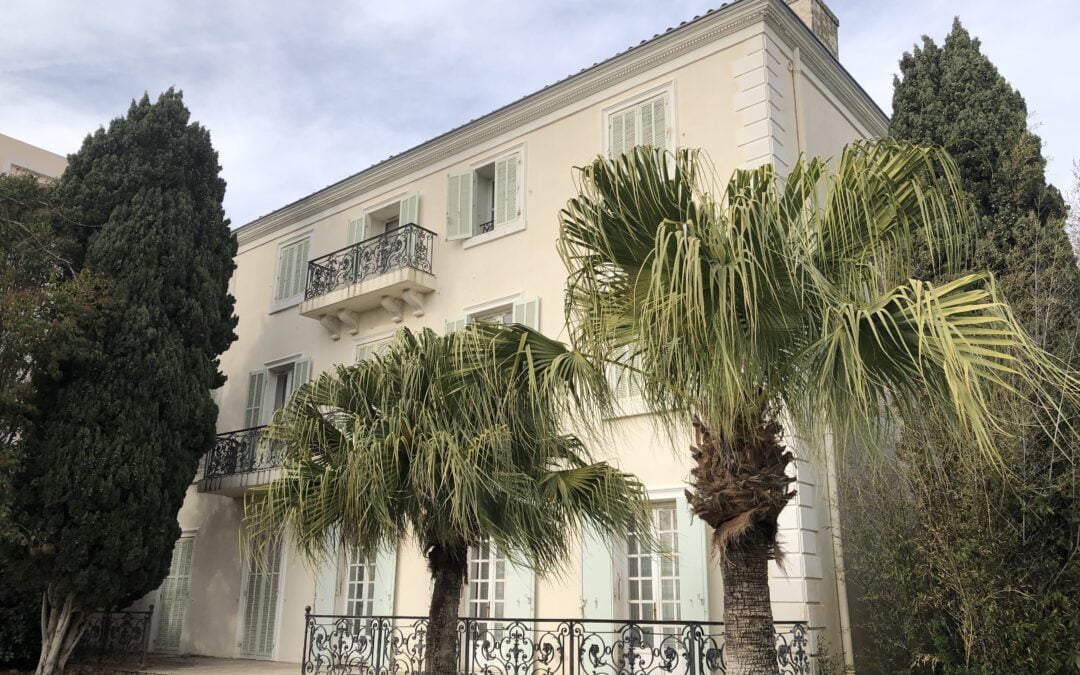 Visites commentées au Musée des Arts Asiatiques de TOULON (1er semestre 2024).