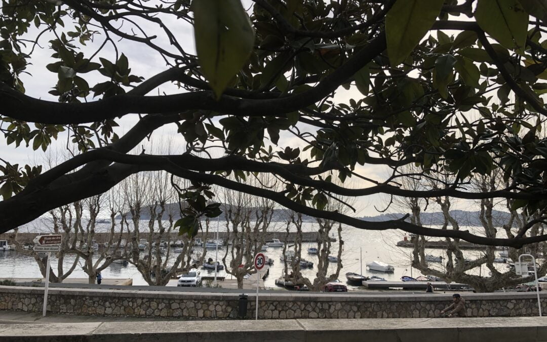 Deux animations en Mars au Musée des Arts  Asiatiques