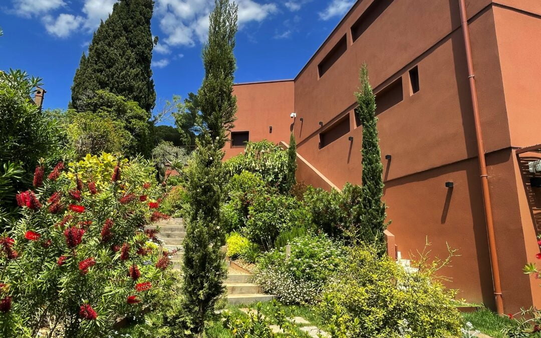 A la découverte du Musée du Niel et de son exposition 2024.