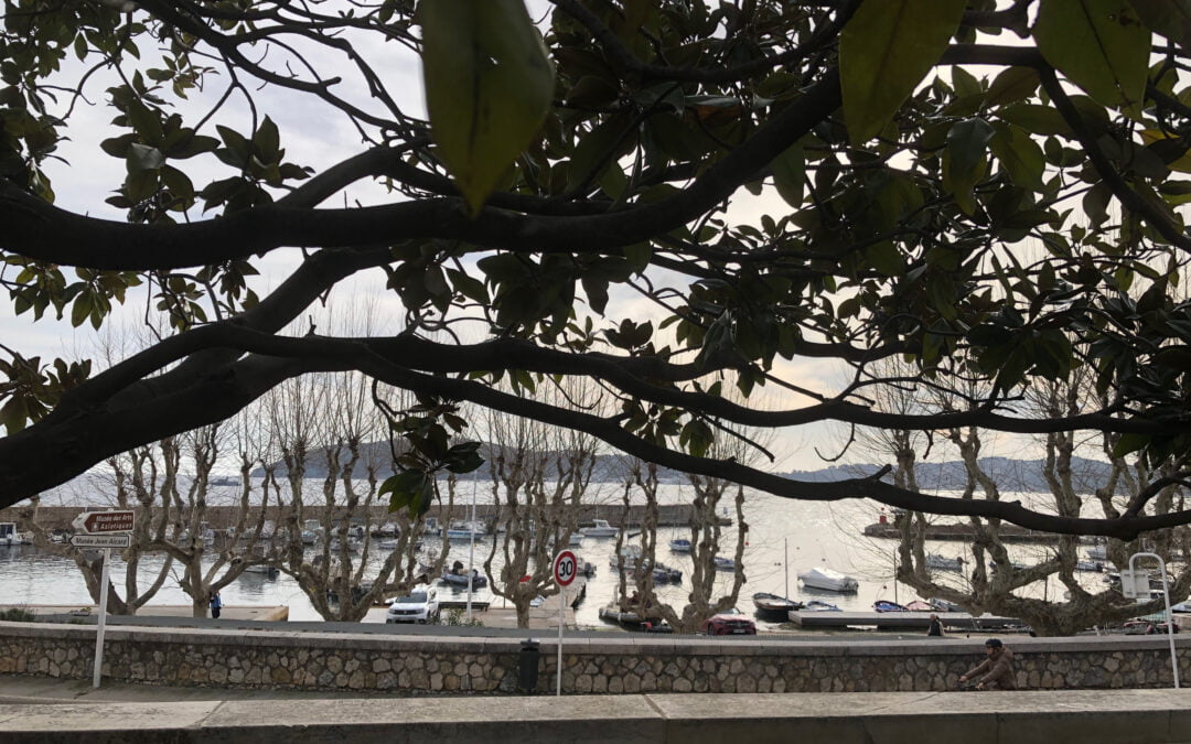 Visites commentées au Musée des Arts Asiatiques de Toulon