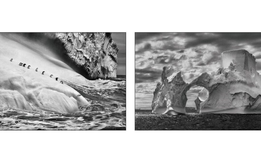 A partir du 18 Octobre et jusqu’au 11 Janvier 2026, exposition de photographies  « GENESIS » de Sebastiao SALGADO
